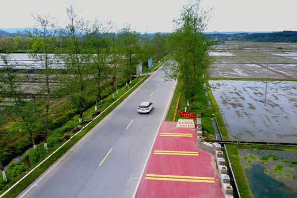 國省干線 國省干線